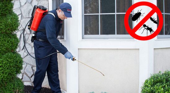 Uzundere Hamam Böceği İlaçlama böcek ilaçlama ve haşere kontrolü — ilaclama-tr.com